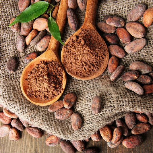 荷蘭式可可粉介紹