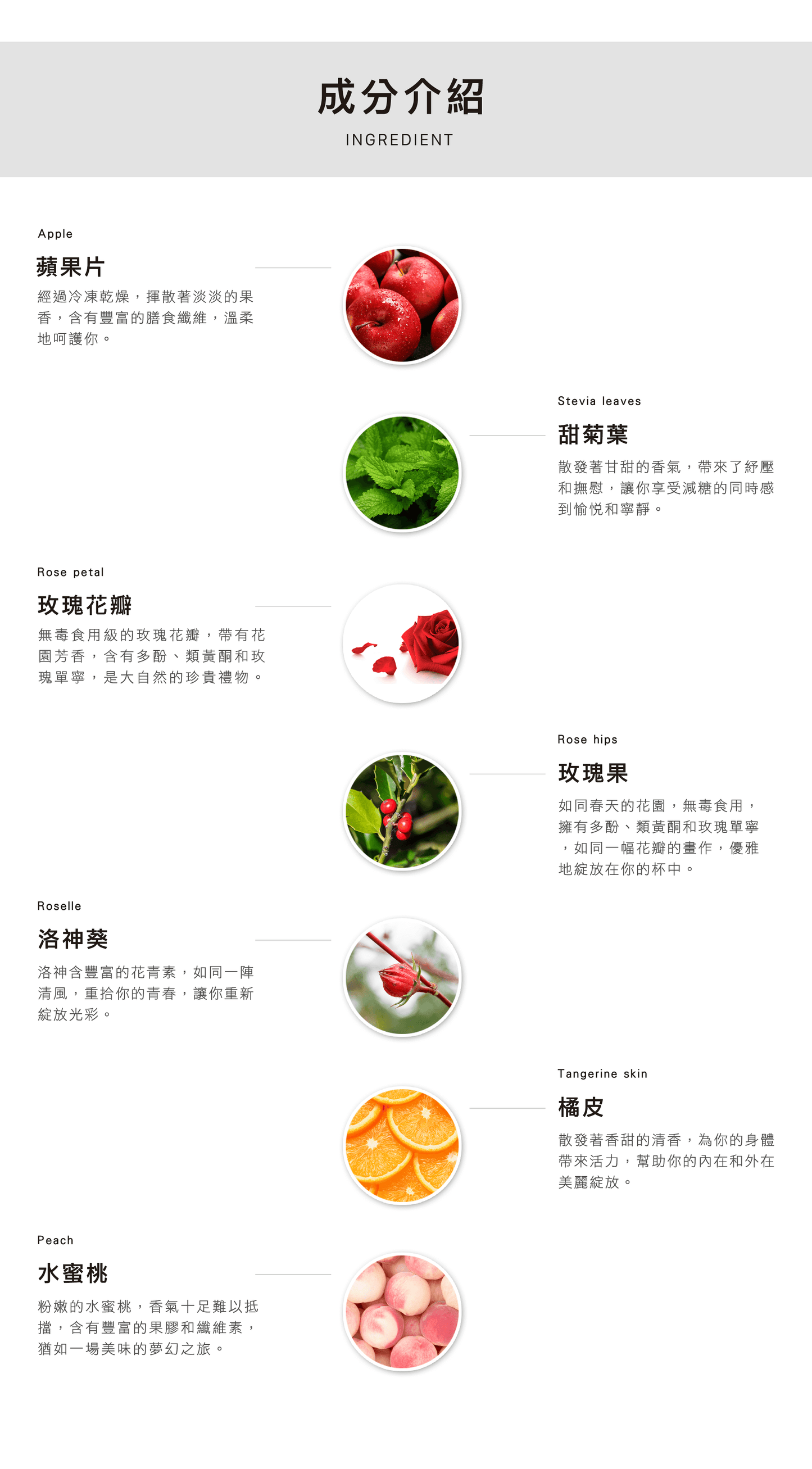 【五盒優惠】果燃美-花果茶包