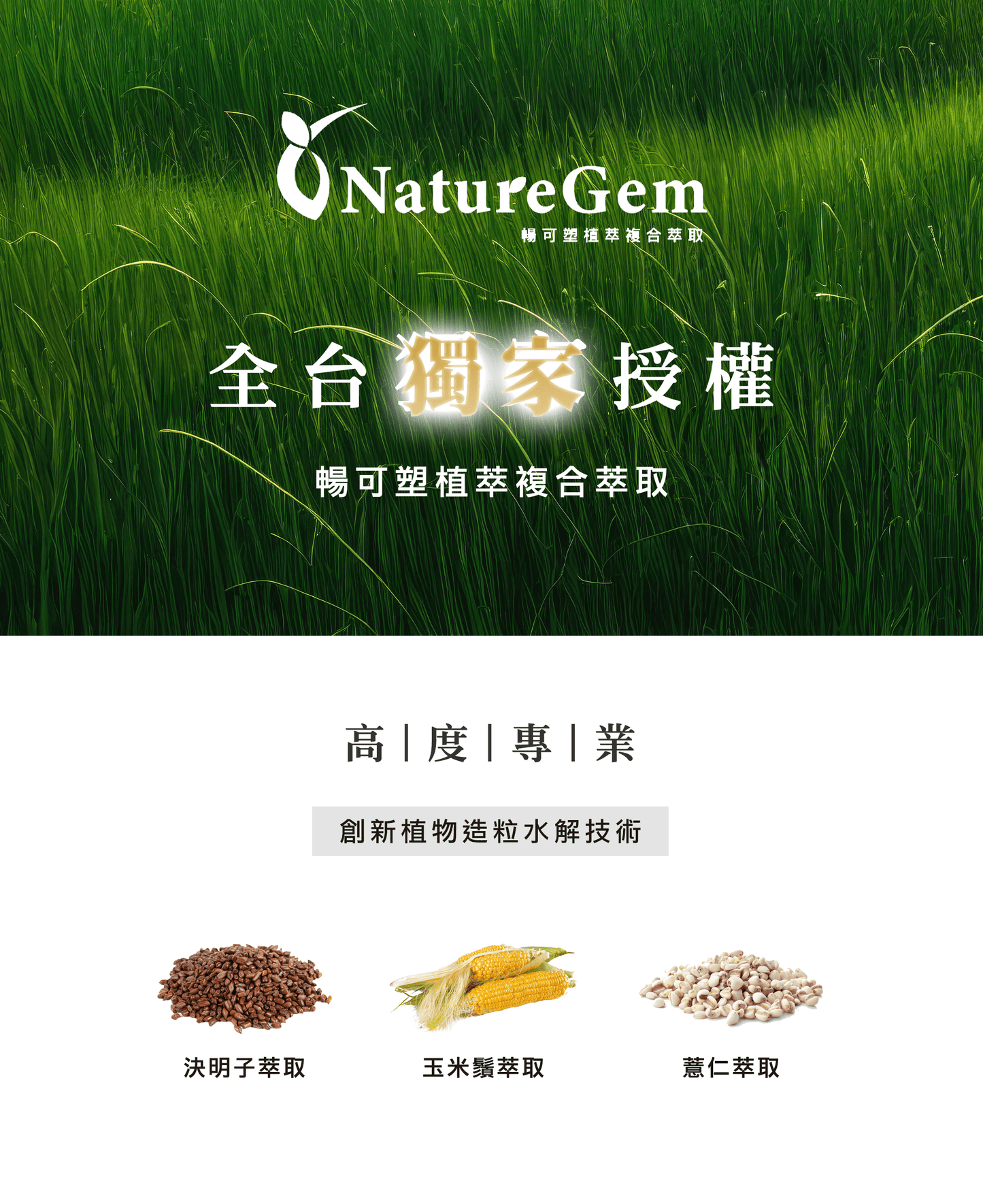 【五盒優惠】果燃美-花果茶包