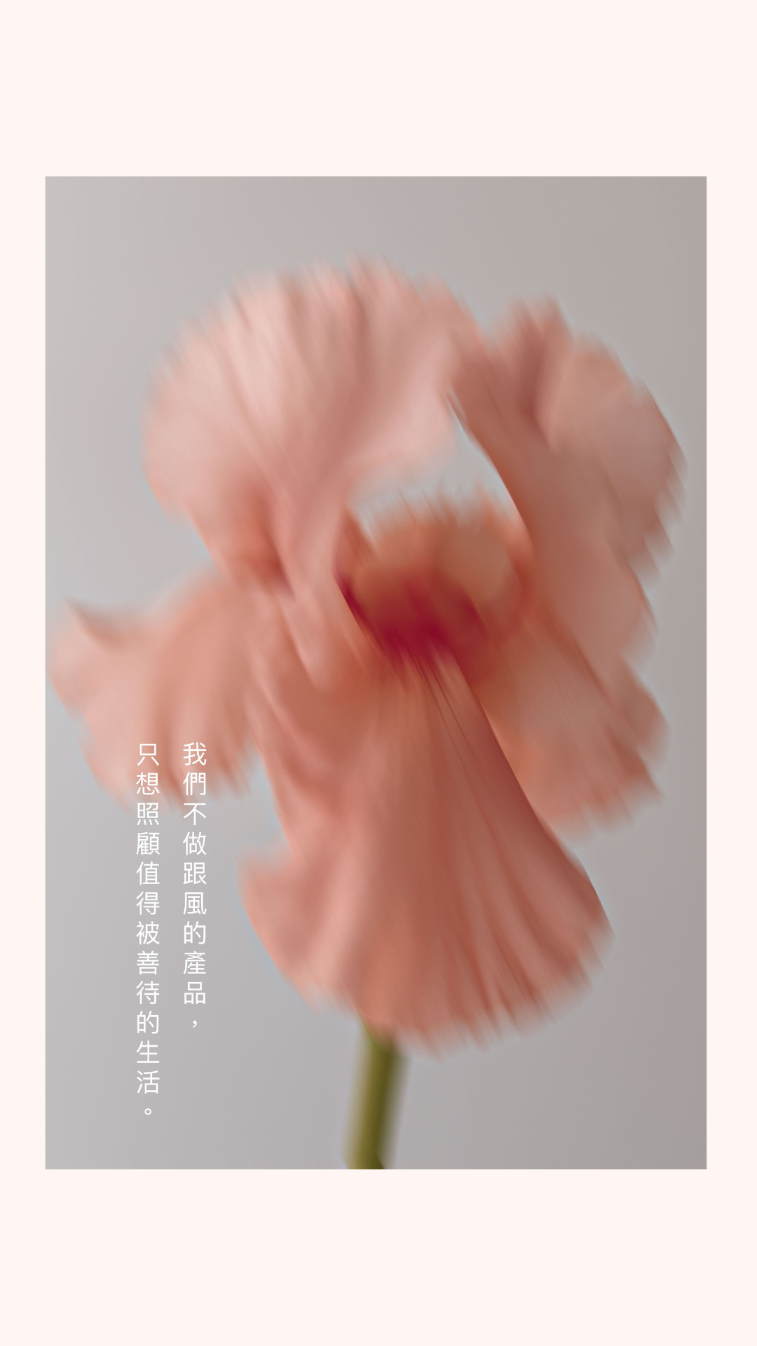 蔓越莓原味法國魚鱗膠原蛋白