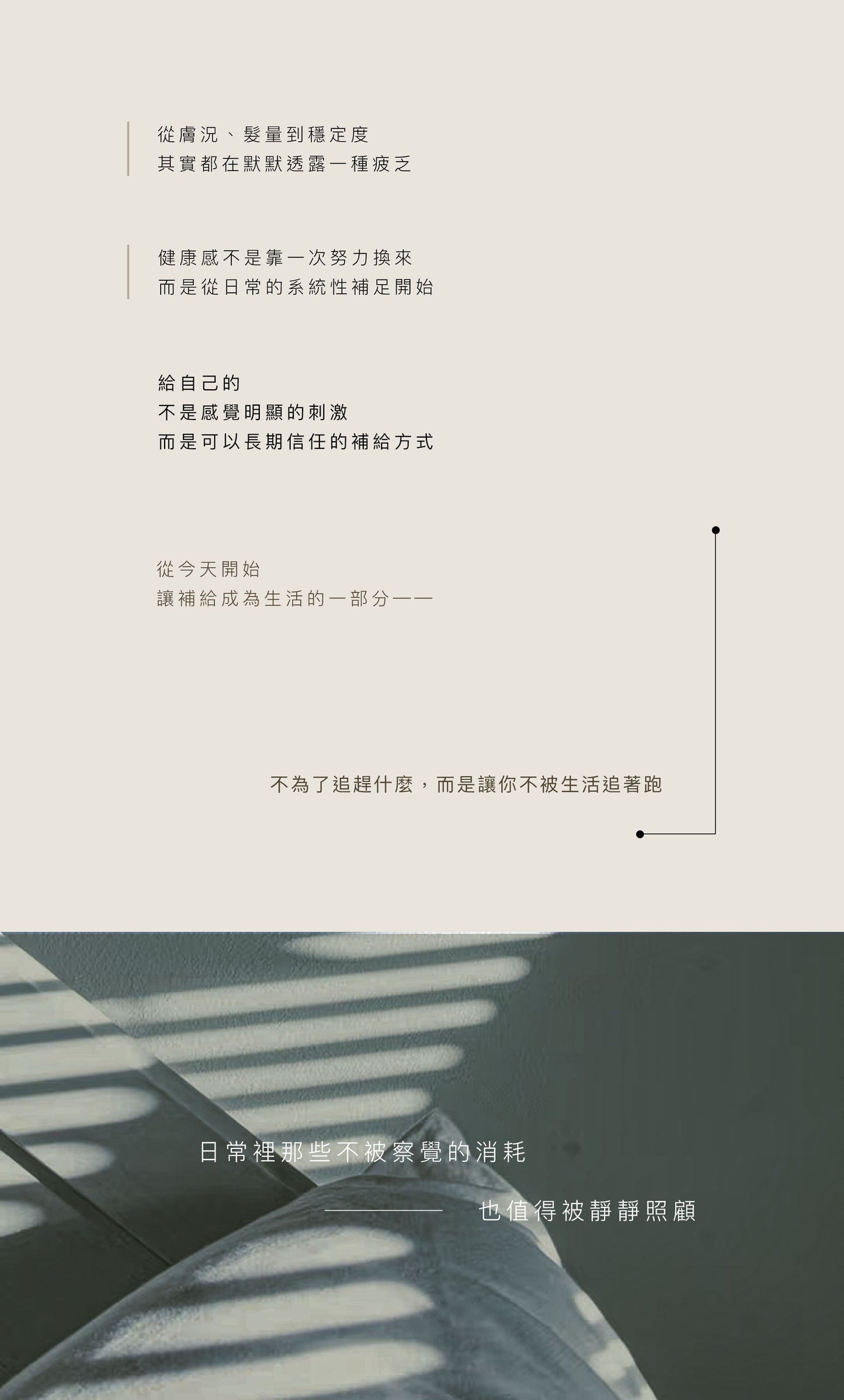 酵母鋅+B群膠囊