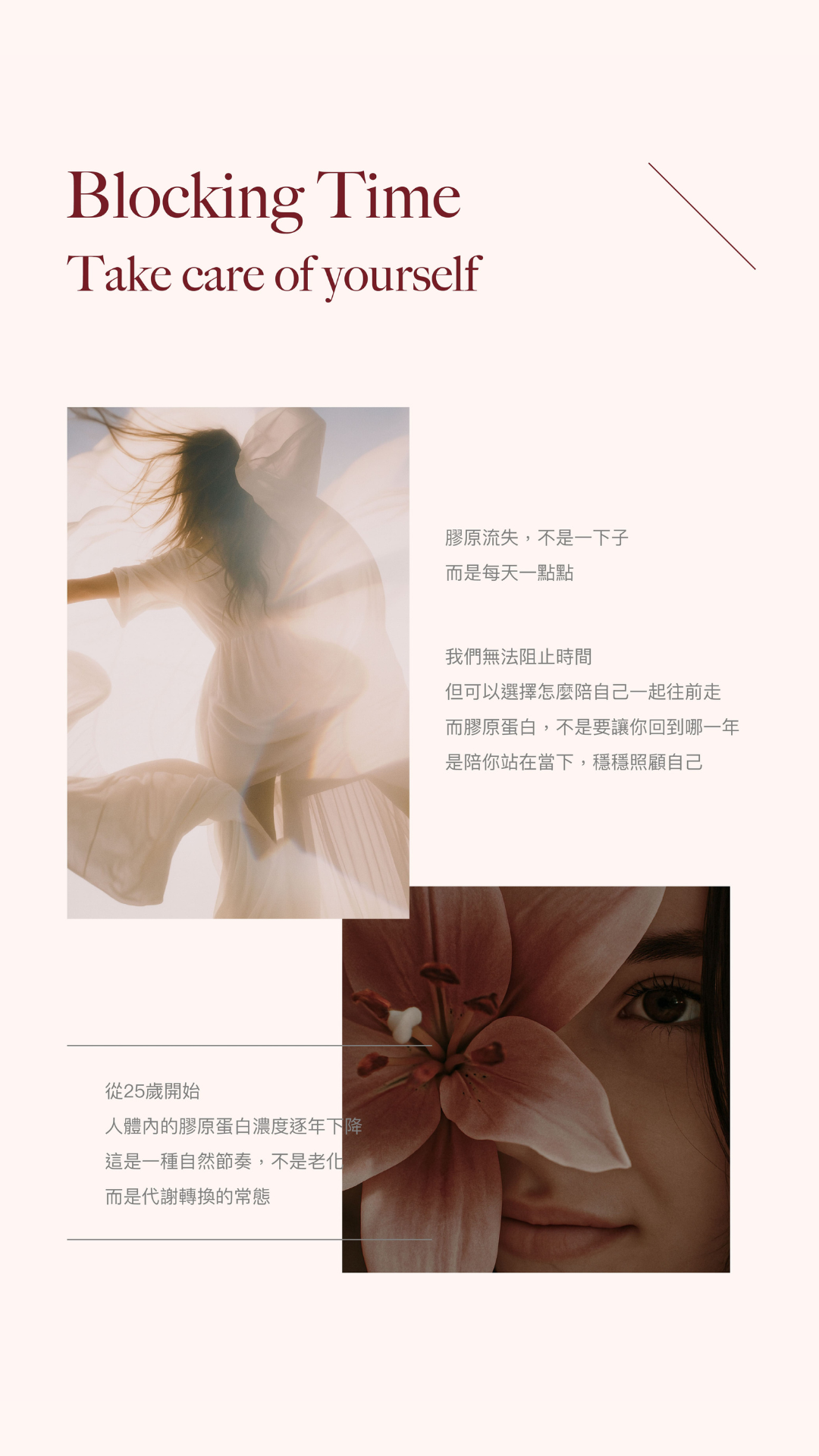 蔓越莓原味法國魚鱗膠原蛋白