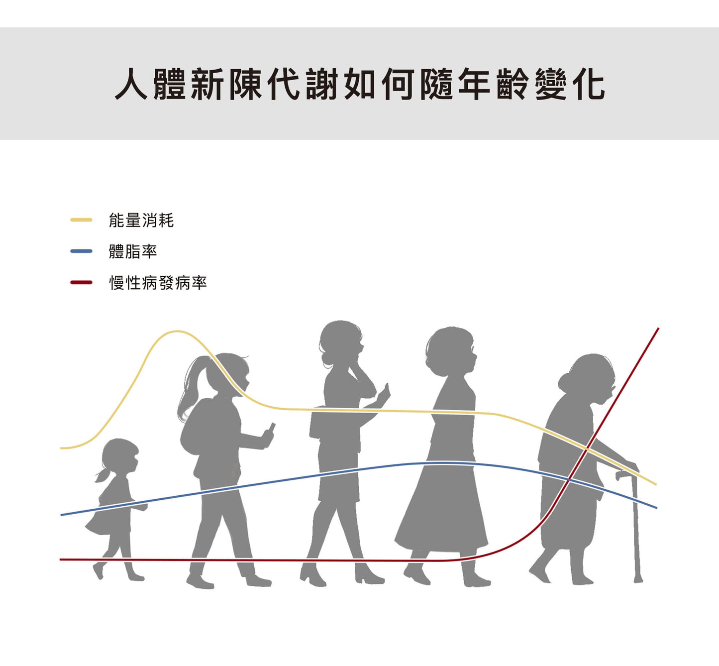 速倍代謝膠囊【拯救代謝率 袪水腫】