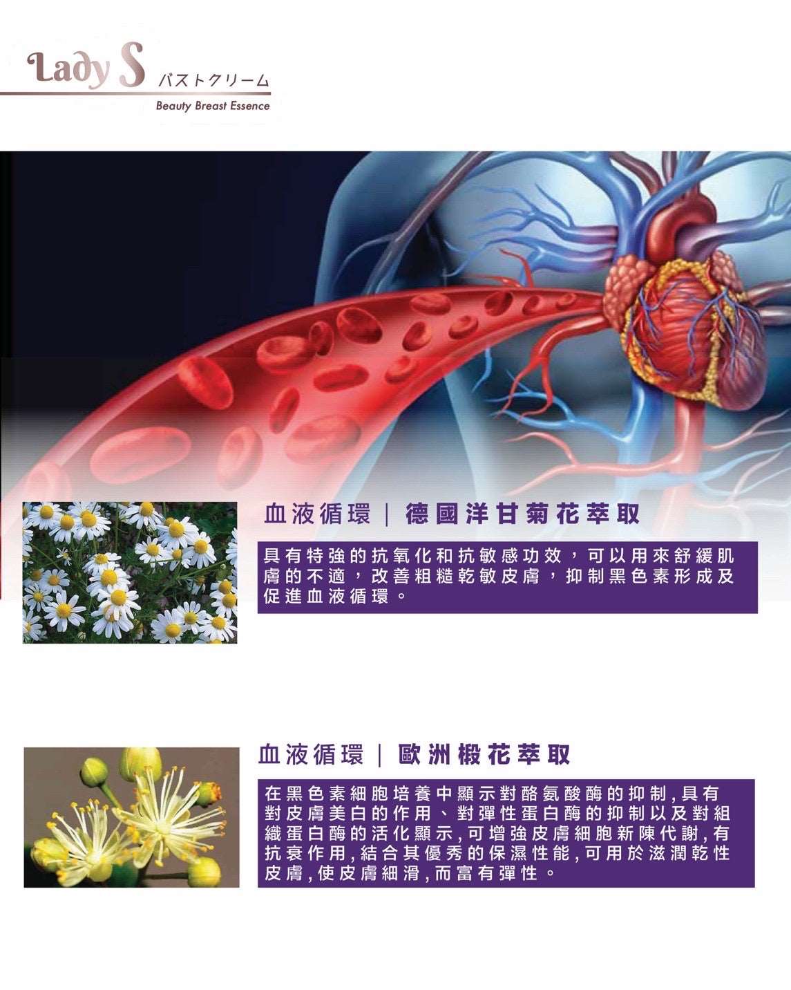 升級版LadyS豐胸乳霜 x EMS微電流&紅光導入美胸儀