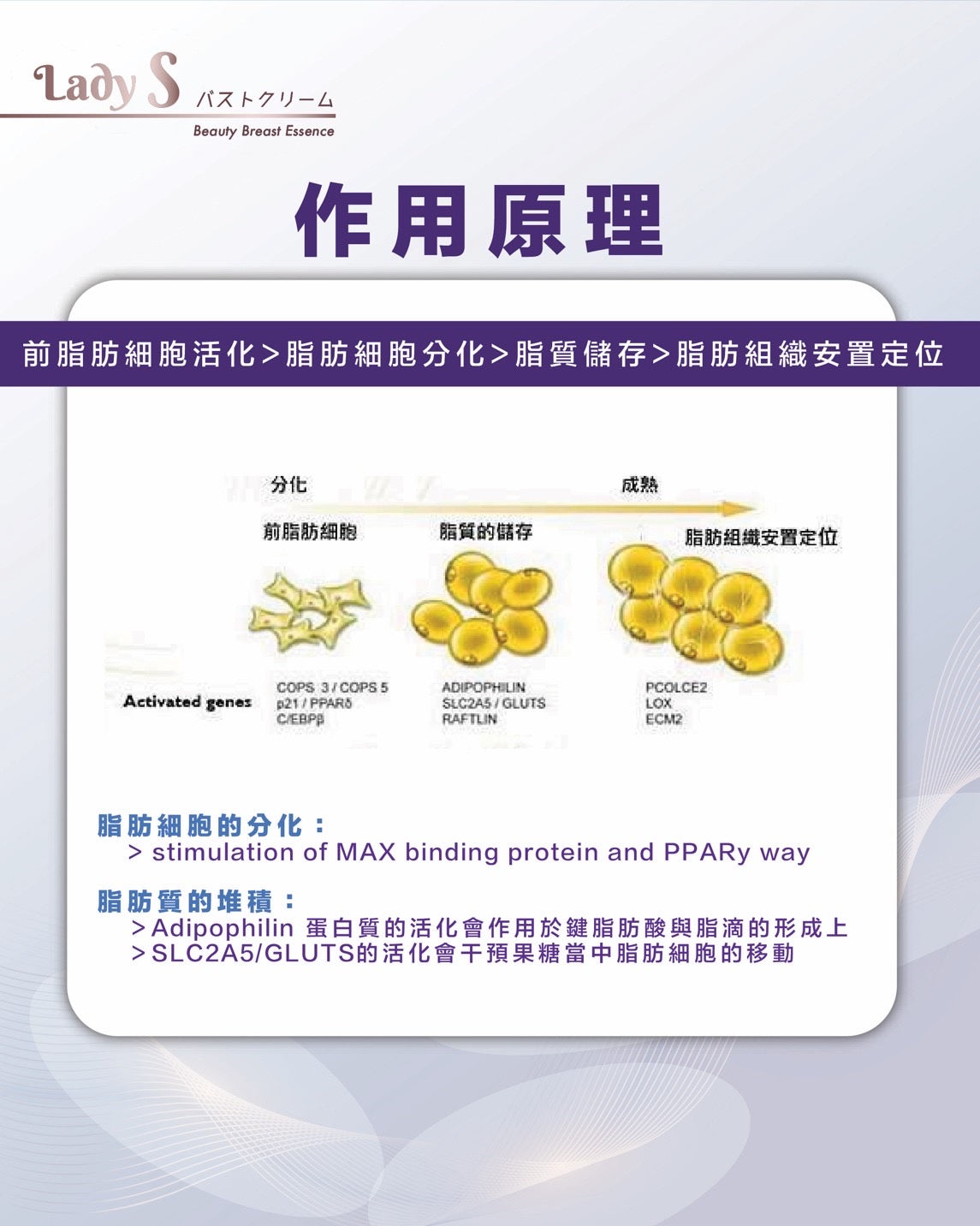 升級版LadyS豐胸乳霜 x EMS微電流&紅光導入美胸儀