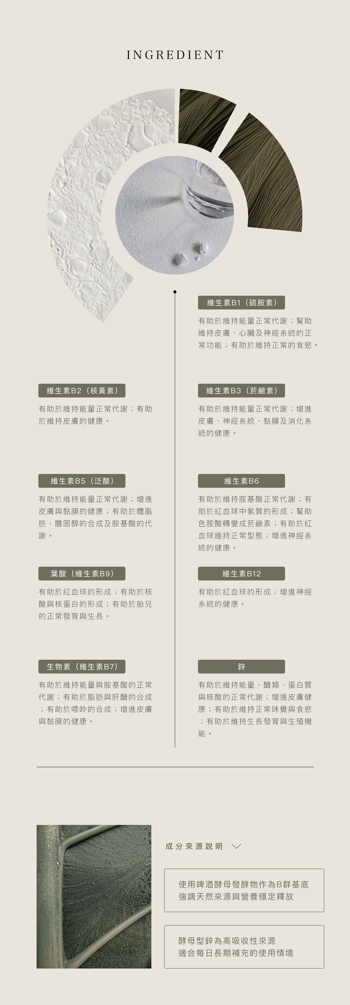 酵母鋅+B群膠囊