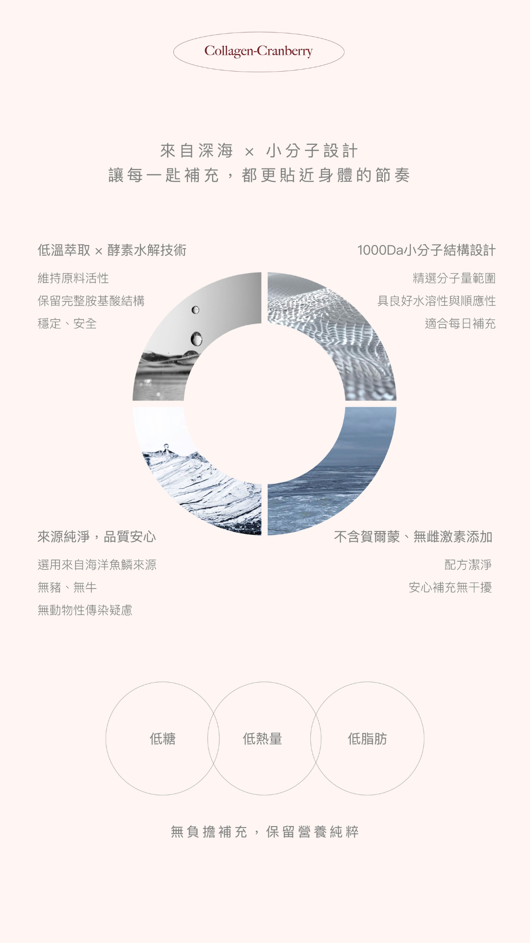 蔓越莓原味法國魚鱗膠原蛋白